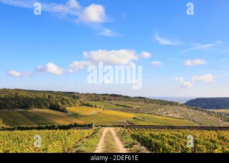Saint-Romain, petit village à l'extérieur de Beaune, Bourgogne, France Banque D'Images