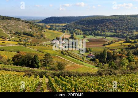 Saint-Romain, petit village à l'extérieur de Beaune, Bourgogne, France Banque D'Images