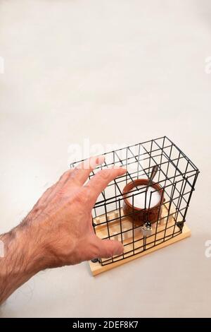 main essayant de tenir un pot de sucre à l'intérieur d'une cage verrouillée, concept d'anxiété, tentation, perte de poids, régime vertical sans sucre Banque D'Images