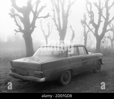Vieille voiture garée dans la forêt brumeuse. Banque D'Images