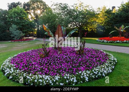 Angleterre, Londres, Greenwich, Greenwich Park, The Flower Garden Banque D'Images