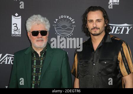 Pedro Almodovar et Asier Etxeandia assistent au photocall de la terrasse « Voyage par le pays » lors du 72e Festival de Cannes, le 16 mai 2019 à Cannes, en France. Photo de Jerome Domine/ABACAPRESS.COM Banque D'Images