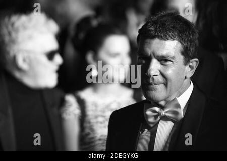 Pedro Almodovar, Penelope Cruz et Antonio Banderas quittent la première Dolor y Gloria dans le cadre du 72e Festival international du film de Cannes, le 17 mai 2019. Photo d'Aurore Marechal/ABACAPRESS.COM Banque D'Images