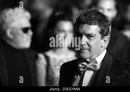 Pedro Almodovar, Penelope Cruz et Antonio Banderas quittent la première Dolor y Gloria dans le cadre du 72e Festival international du film de Cannes, le 17 mai 2019. Photo d'Aurore Marechal/ABACAPRESS.COM Banque D'Images