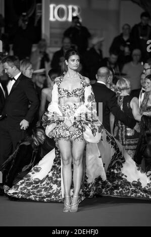 Taylor Hill arrive sur le tapis rouge de la projection "trop vieux pour mourir Jeune - Nord d'Hollywood, Ouest de l'Enfer" qui s'est déroulée au Palais des Festivals de Cannes, France, le 17 mai 2019 dans le cadre du 72ème Festival de Cannes. Photo de Nicolas Genin/ABACAPRESS.COM Banque D'Images