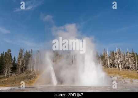 Grand Geyser en éruption avec vent Geyser et un arc-en-ciel à gauche dans le bassin supérieur de Geyser, parc national de Yellowstone, Wyoming, États-Unis. Banque D'Images