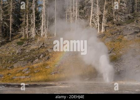 Vent Geyser éclatant avec un léger arc-en-ciel dans le bassin supérieur de Geyser, parc national de Yellowstone, Wyoming, États-Unis. Banque D'Images