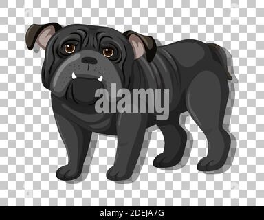 Bulldog noir en position debout personnage de dessin animé isolé sur transparent illustration d'arrière-plan Illustration de Vecteur