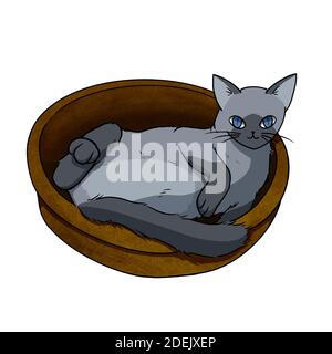 Un chat gris allongé dans un panier. Personnage de dessin animé pour la décoration dans la publicité d'art d'animal de compagnie, l'art de clip, manuel pour les petits enfants. Banque D'Images