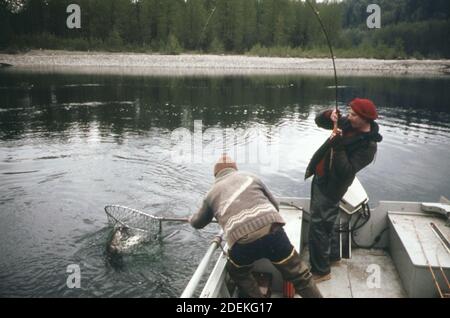 '1970 photo (1973) - sur la rivière Skagit près du béton, le pêcheur joue un 19! livre de truite à tête en acier comme son guide traite le filet' Banque D'Images