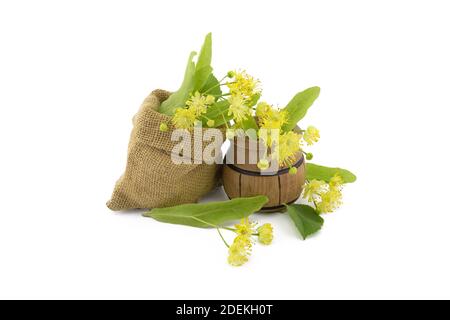 Petit pot en bois et petit sac hessien de fleurs et feuilles de tilleul jaune fraîchement cueillies, également appelé tilia et lime, pour faire un tisane curatif ou Banque D'Images