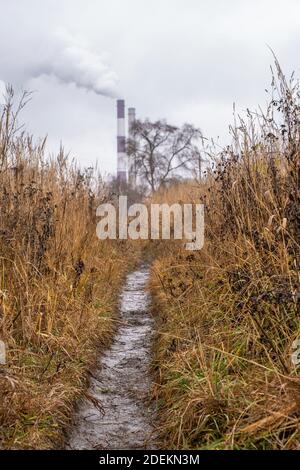 Un chemin étroit et humide parmi une grande herbe jaune sèche lors d'un jour d'automne nuageux. Banque D'Images