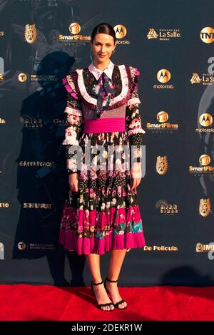 MEXICO, MEXIQUE – 29 NOVEMBRE : Pamela Almanza pose pour des photos lors du tapis rouge des SmartFilms Awards 2020 au Foro aire libre le 29 novembre 2020 à Mexico. Crédit : Francisco Morales/Eyepix Group/The photo Access Banque D'Images