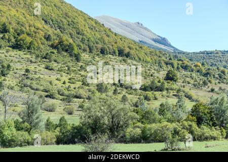 Paysage avec des pentes ligneuses vertes du pic de Palombo, tourné en lumière vive près de Pescasseroli, l'Aquila, Abruzzo, Italie Banque D'Images