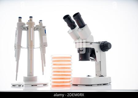 microscope, boîtes de petri et support de pipette par laboratoire microbiologique. La réponse immunitaire de l’organisme de recherche aux aliments pour aider à fournir des conseils sur ce que t Banque D'Images