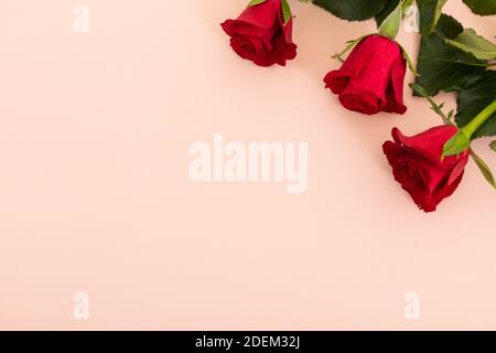 Trois roses rouges dans le coin supérieur droit sur fond rose Banque D'Images