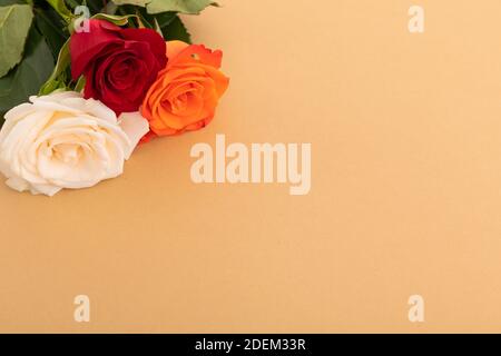 Roses blanches, rouges et orange sur fond orange Banque D'Images