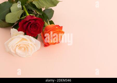 Roses blanches, rouges et orange sur fond rose Banque D'Images
