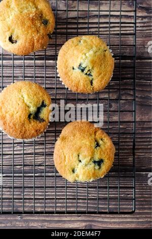 Maison fait Blueberry muffins refroidissement sur un rack de fil ayant vient d'être sorti du four Banque D'Images