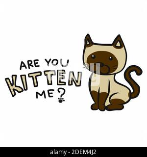 Tu me chaton ? illustration vectorielle de dessin animé de chat mignon Illustration de Vecteur