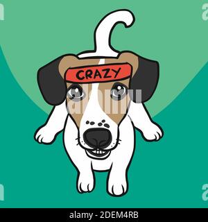 Jack Russell chien porter le mot fou sur le bandeau de dessin animé vecteur illustration Illustration de Vecteur