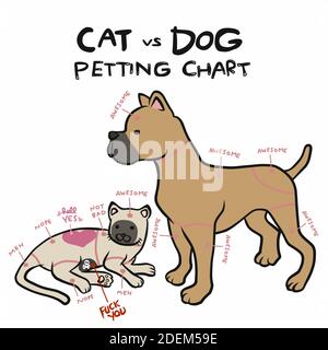 Cartoon Chat De Flatter Son Chien Vector Illustration Image Vectorielle Stock Alamy