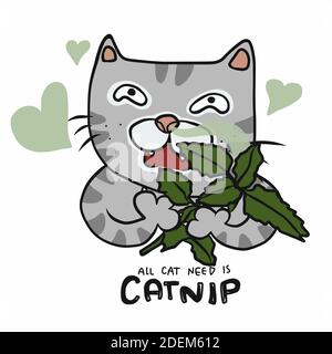 Chat sentant la catanip, tout le besoin de chat est illustration de vecteur de dessin animé de la caténip Illustration de Vecteur