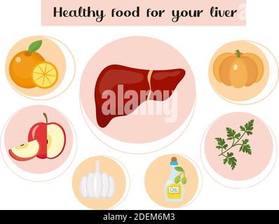 Des aliments sains pour votre foie. Concept de nourriture et de vitamines, médecine, prévention des maladies du foie. Illustration vectorielle Illustration de Vecteur