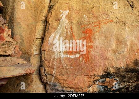 Peinture art autochtones anciennes, représentant la chasse de l'homme sur le kangourou, énorme rocher pierre dans le parc de Kakadu, territoire du Nord, Australie. Banque D'Images