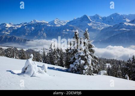 Géographie / Voyage, Suisse, Alpes bernoises, vue de la Niederhorn, Additional-Rights-Clearance-Info-non-disponible Banque D'Images