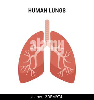 Poumons humains. Symboles médicaux, poumons humains avec structure abstraite Illustration de Vecteur