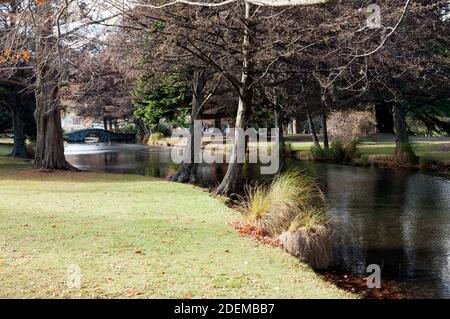 Vue sur Jardins de Queenstown, Queenstown, île du Sud, Nouvelle-Zélande Banque D'Images