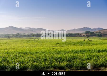 Terres agricoles dans le désert de l'Arabie Saoudite Banque D'Images