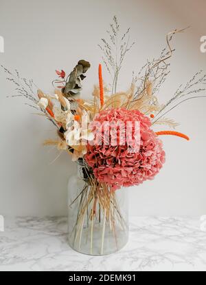 Arrangement de fleurs séchées dans des tons roses doux contre un neutre arrière-plan blanc Banque D'Images