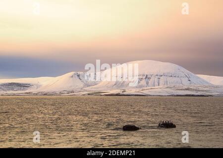 Les collines de l'île de Hoy sous la neige et les eaux de l'Atlantique nord dans Scène d'hiver sur Orkney Banque D'Images