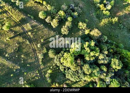 Vue de dessus des arbres et une route en Russie Banque D'Images