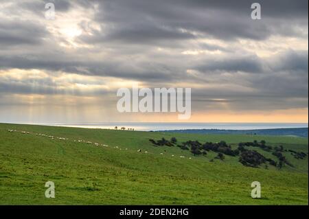 Vue sur la mer au-dessus du paysage herbeux du parc national de South Downs près de Devil's Dyke, West Sussex, Angleterre fin novembre. Banque D'Images