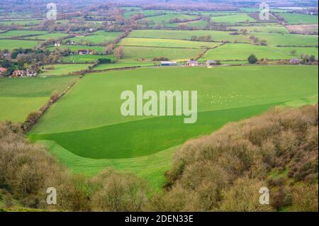 Vue vers le nord sur les terres agricoles entre les villages de Fulking et de Poyings de South Downs, West Sussex, Angleterre. Banque D'Images