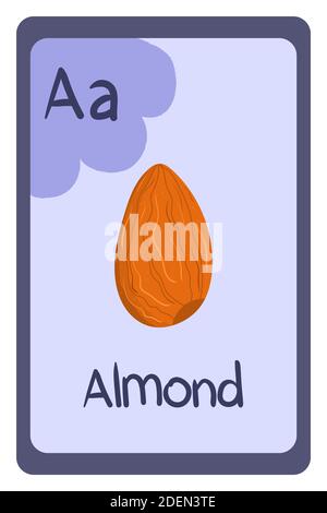 Lettre de l'alphabet coloré A - amande. Carte flash photonique. Cartes ABC sur le thème de la nourriture pour enseigner la lecture avec les aliments, les légumes, les fruits et les noix. Série ABC. Illustration de Vecteur