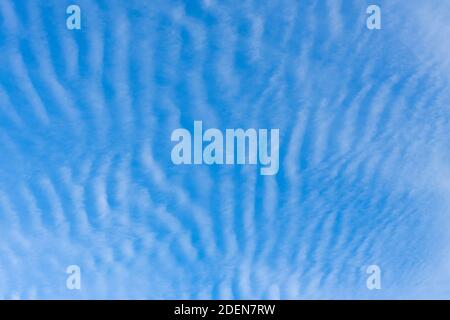 Un ciel bleu de maquereau avec des nuages de Cirrocumulus, blancs typiques, ondulés et ondulés, révélateurs de conditions météorologiques changeantes, au-dessus de Surrey, sud-est en Banque D'Images