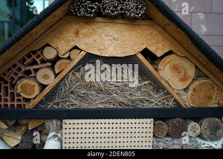 Un hôtel d'insectes peut être facilement fait à partir d'une variété de matériaux et est très bon à regarder les insectes Banque D'Images