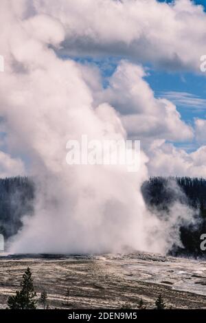 Old Faithful Geyser qui fait irruption de vapeur et d'eau chaude dans le parc national de Yellowstone dans le Wyoming, aux États-Unis. Banque D'Images