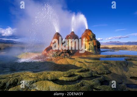 Etats-Unis, Great Basin, Nevada, Washoe County, Fly Ranch Geyser Banque D'Images