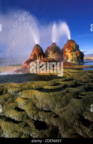 Etats-Unis, Grand bassin, Nevada, Washoe County, Fly Ranch Geyser, Banque D'Images