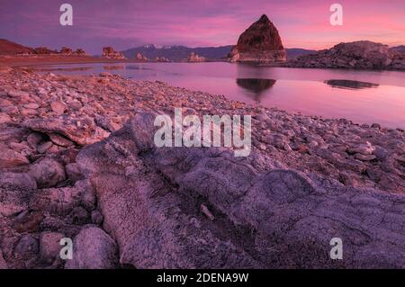 Etats-Unis, Nevada, Grand bassin, Comté de Washoe, Réserve indienne de Pyramid Lake, Lac Pyramid, Banque D'Images