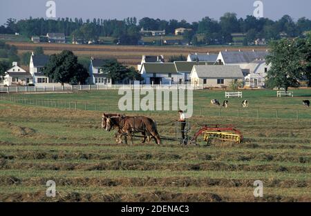 États-Unis, côte est, Pennsylvanie, Paradise, Amish Farm, Banque D'Images