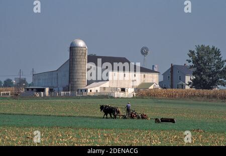 États-Unis, côte est, Pennsylvanie, Paradise, Amish Farm, pays hollandais Banque D'Images