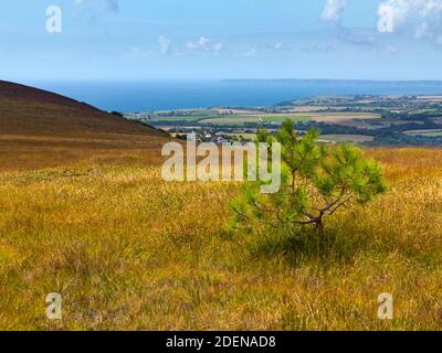 Vue de la fin de l'été depuis le sommet de Menez-Hom a Peak Sur les bords ouest des montagnes noires à Finisterre Bretagne France avec le petit coin Banque D'Images