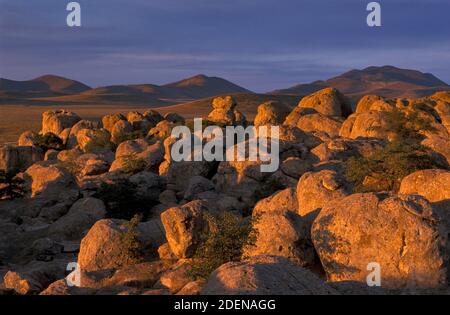 États-Unis, sud-ouest, Nouveau-Mexique, parc national de la ville de Rocks Banque D'Images