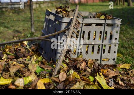 Peigne en bois et boîte en plastique pour le stockage des feuilles en automne Banque D'Images